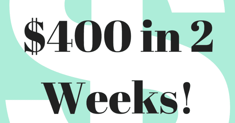 How I made $400 in 2 Weeks Cleaning Out My Closet!