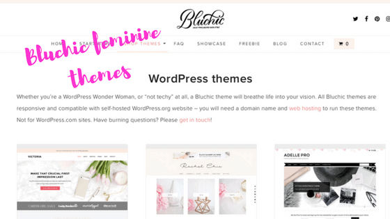 Bluchic feminine themes