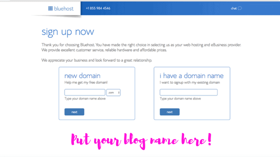 Bluehost domain area