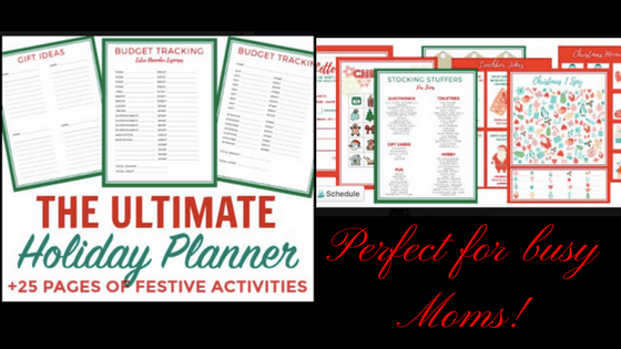Best Holiday Planner for Busy Moms!