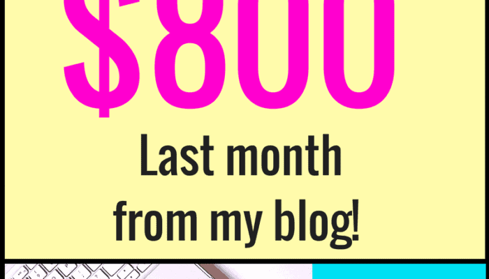 Blog income report/ How I made $800 from my blog