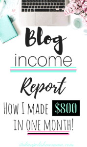 Blog income report How I made $800 blogging